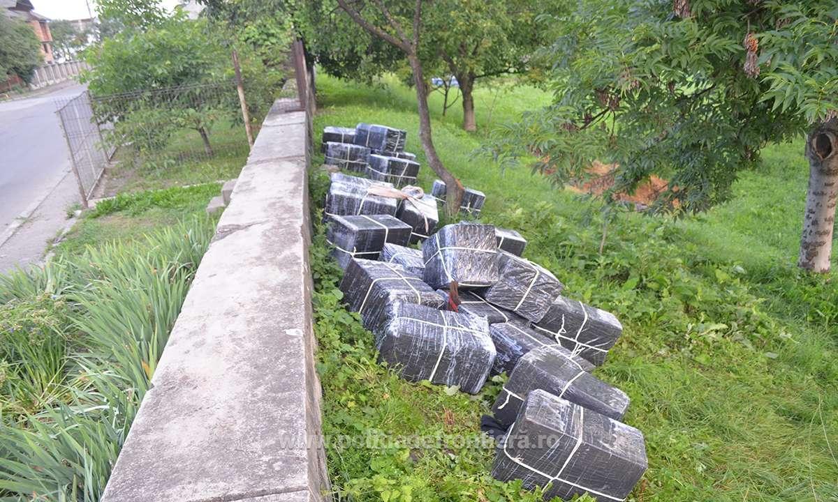 Captură record pentru Poliția de frontieră la Sighetul Marmației! Peste 37.000 de pachete cu ţigări de contrabandă