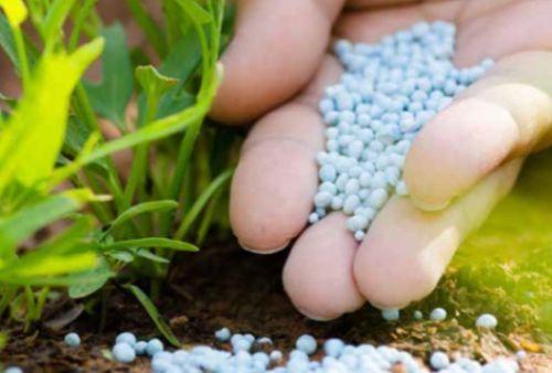 Combinatul de &Icirc;ngrăşăminte Chimice Năvodari estimează pentru acest an o creştere cu 5% a afacerilor