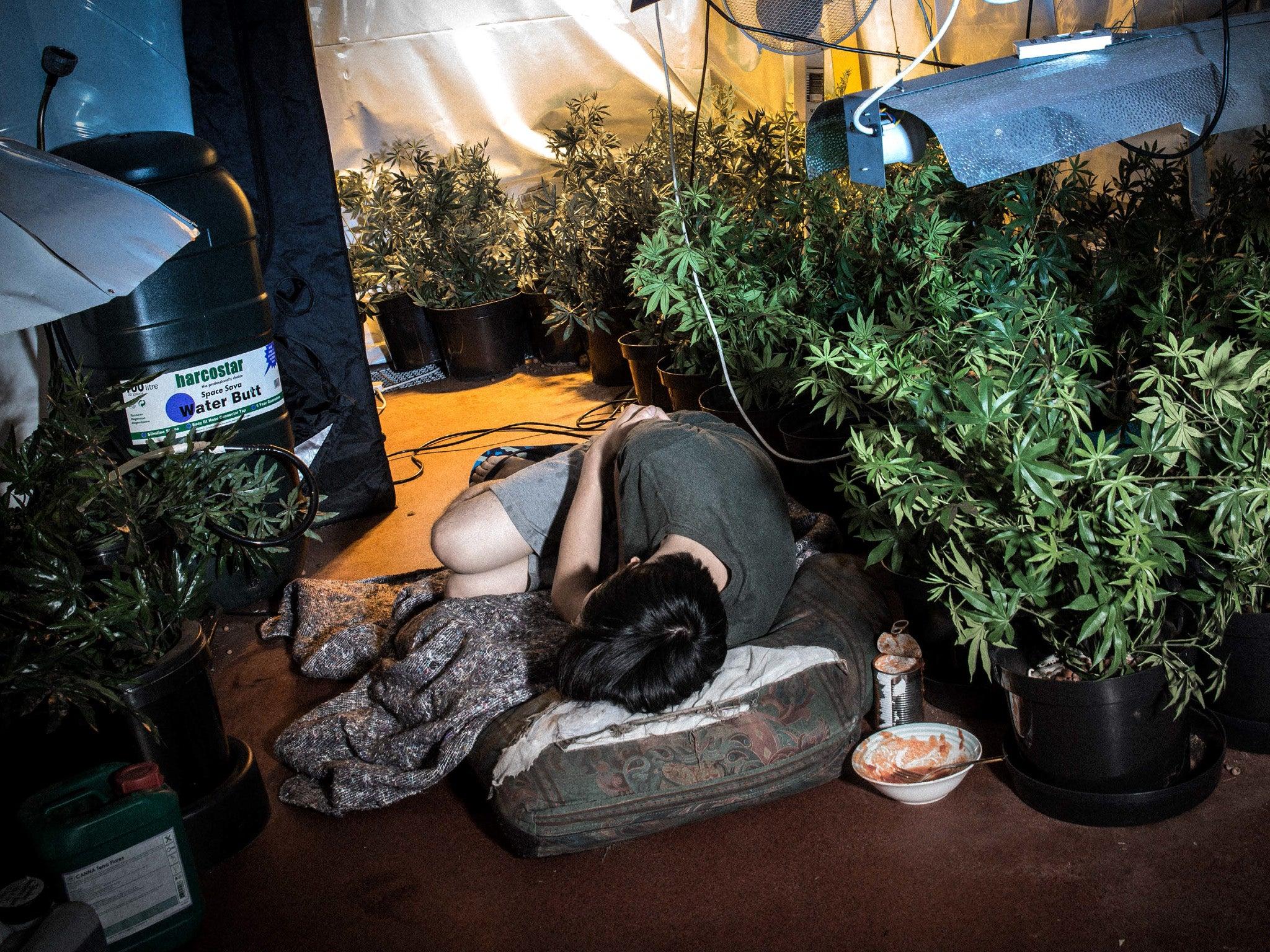 T&acirc;nără ținută cu zgarda la g&acirc;t și obligată să măn&acirc;nce resturile menajere lăsate de patronul la care era angajată: &bdquo;Era precum c&acirc;inele lor&rdquo;