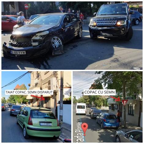 Cum poți muri nevinovat într-o intersecție din București! Un accident grav s-a petrecut după ce copacul se afla semnul de circulație a fost tăiat