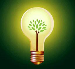 Biocombustibil: benzina va fi &icirc;nlocuită de alge