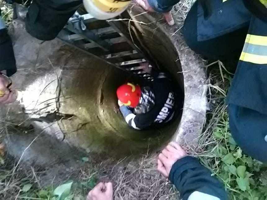 Și-a agresat propria mamă! Cum l-au găsit polițiștii l&acirc;ngă ea, &icirc;ntr-o f&acirc;nt&acirc;nă fără apă. Foto