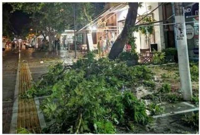 MAE: Doi cetăţeni rom&acirc;ni au decedat, iar altul a fost rănit, &icirc;n urma furtunii din nordul Greciei