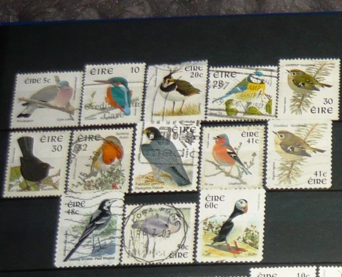 Pasărea care &icirc;ți protejează destinul &icirc;n funcție de luna &icirc;n care te-ai născut! Porumbelul apără luna iunie, iar bufnița...