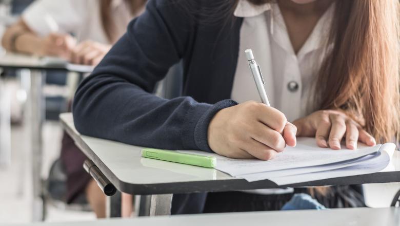 Un elev de 10 nu poate studia &icirc;n Rom&acirc;nia: &bdquo;Domeniul meu e subdezvoltat &icirc;n ţară, sunt şanse mici să revin&rdquo;
