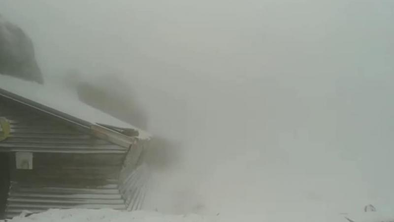 S-a dezlănțuit iadul alb în iulie 2019. Ninge viscolit în mai multe zone din România! Fenomen meteo ciudat