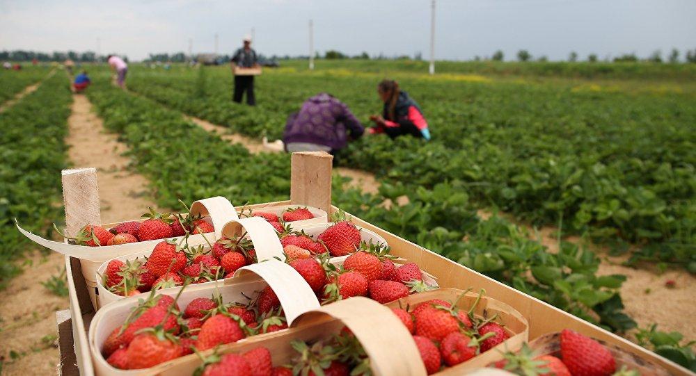 Satul din Bihor unde tinerii se &icirc;ntorc acasă din străinătate. Ce a făcut primarul pentru ei e genial