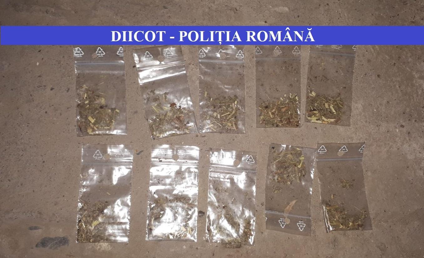 Nouă persoane suspectate de trafic de droguri. Gruparea acţiona &icirc;n mai multe județe din țară