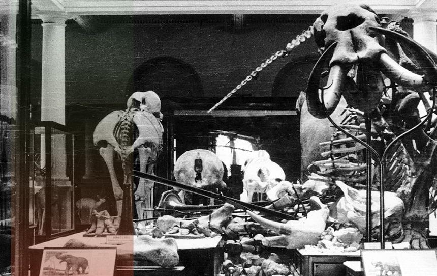 Premieră &icirc;n Europa: Muzeul "Antipa", primul beneficiar al uneia dintre cele mai inovatoare tehnologii japoneze anticutremur