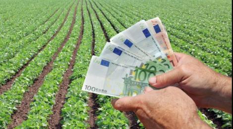 Fermierii vor putea beneficia de câte 15.000 euro pentru dezvoltarea exploataţiilor agricole de mici dimensiuni