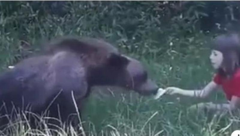 Părinți iresponsabili! O fetiţă a fost filmată când hrăneşte un urs, pe Transfăgărăşan, oferindu-i cu mâna bucăţi de mâncare