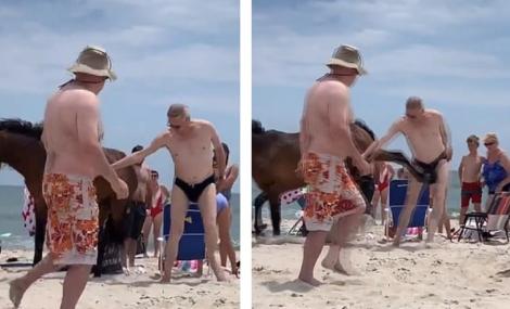 A fost făcut knockout pe plajă, de un cal sălbatic! L-a lovit între picioare! Momentul a fost filmat! Video