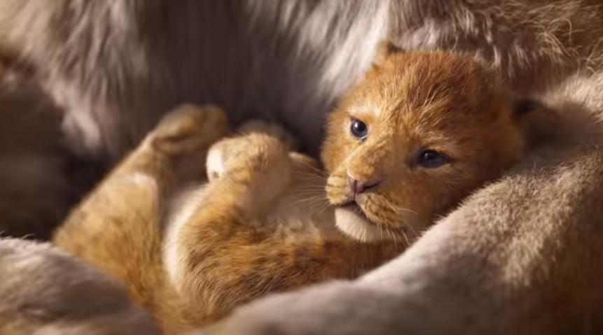 Lungmetrajul „The Lion King”, al doilea cel mai bun debut al anului în box office-ul nord-american