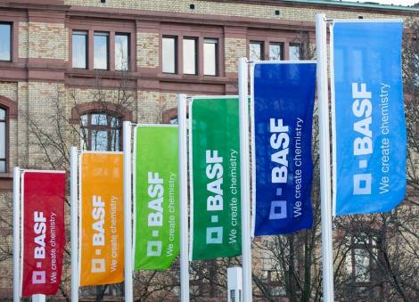 BASF, Siemens, Henkel şi alte companii mari din Germania au fost ţinta unor atacuri cibernetice