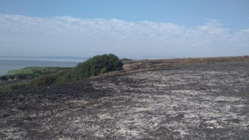 Incendiu în Delta Dunării, peste 45 de hectare au ars pe Insula Popina
