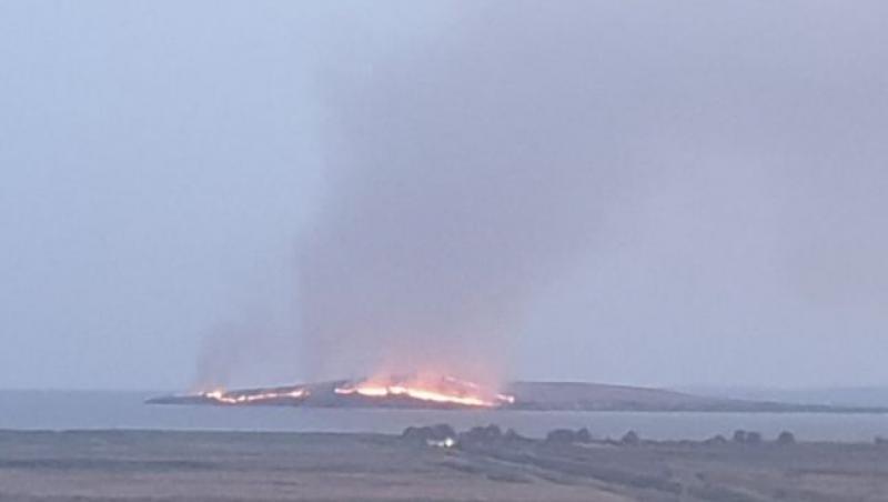 Incendiu în Delta Dunării, peste 45 de hectare au ars pe Insula Popina