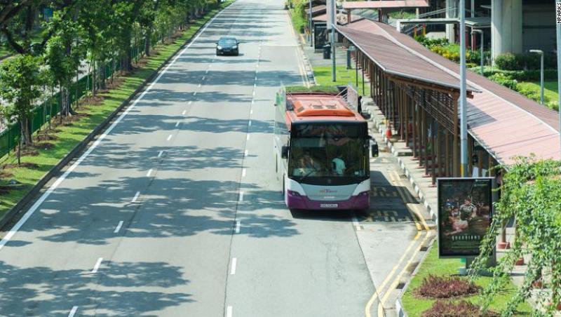 Studiu: Acoperișurile verzi instalate pe autobuze pot scădea temperatura din interior