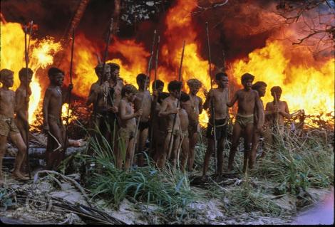 Regizorul Luca Guadagnino, în negocieri pentru a realiza adaptarea „Lord of the Flies” produsă de Warner Bros.