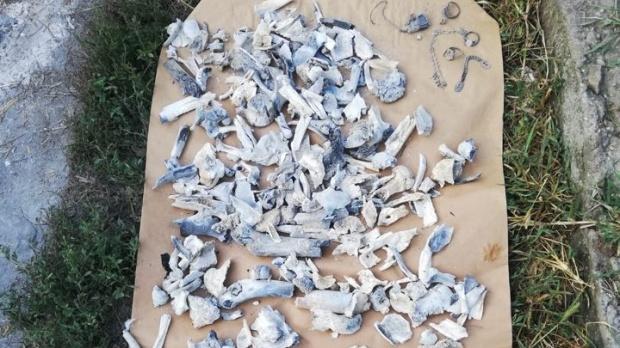 Surse: Oasele găsite &icirc;n casa lui Gheorghe Dincă sunt sută la sută umane