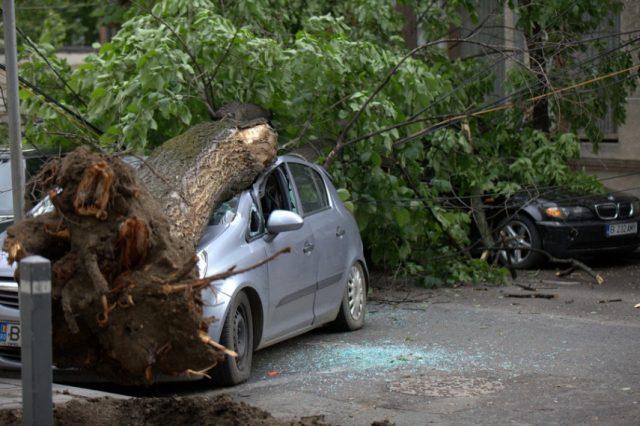 Efectele furtunii de miercuri. Copaci căzuți și drumuri blocate în mai multe județe din țară