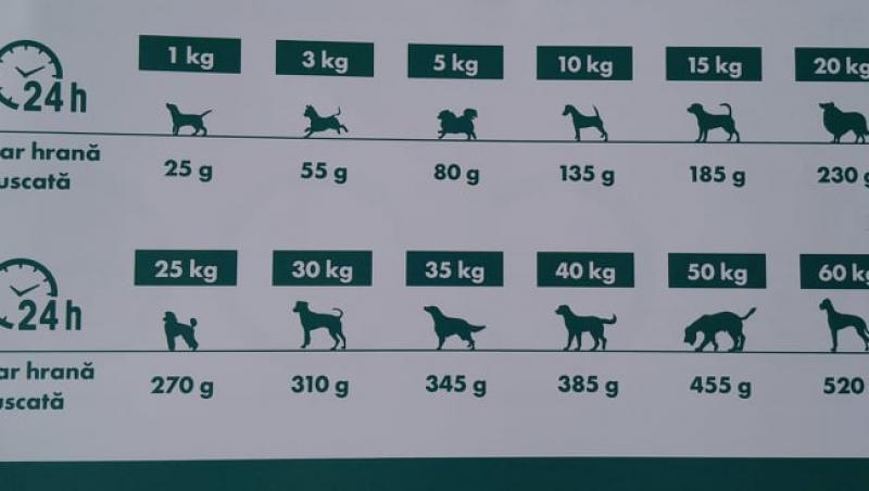 Cât trebuie să mănânce câinele tău, în funcție de greutatea sa