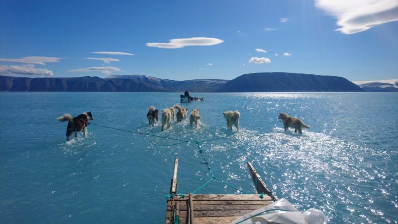 Încălzirea Globală afectează din ce în ce mai mult planeta. O imaginea virală  ilustrează amploarea topirii gheții în Groenlanda
