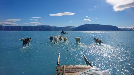 Încălzirea Globală afectează din ce în ce mai mult planeta. O imaginea virală  ilustrează amploarea topirii gheții în Groenlanda