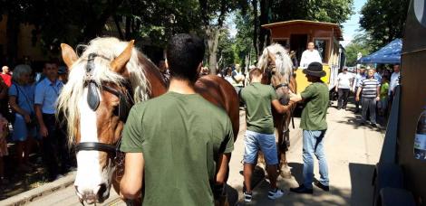 Tramvaiul tras de cai a fost scos pe străzile din Timişoara, la sărbătorirea a 150 de ani de transport public local