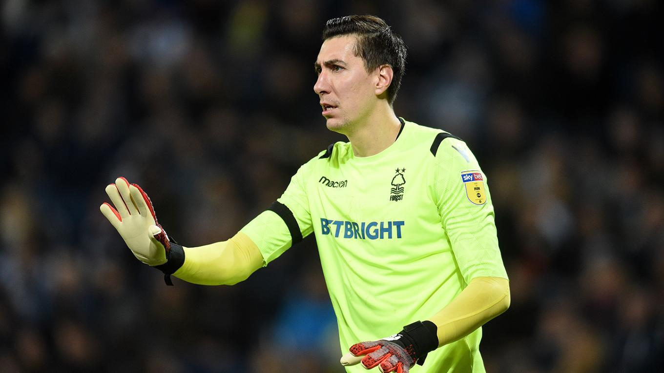 Costel Pantilimon are probleme la Nottingham Forest. Sabri Lamouchi vrea să mai transfere un portar