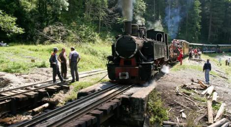 Incident grav în Maramureș. Locomotiva Mocăniţei de la Vişeu a deraiat! Șase turişti au fost răniţi