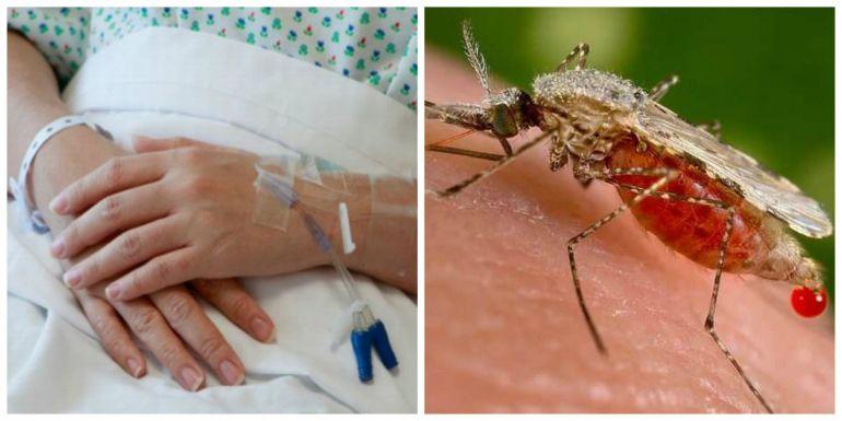O femeie a murit &icirc;n spital, &icirc;n urma unei infecții cu virusul West Nile! Autoritățile, &icirc;n alertă maximă: &rdquo;Să se facă dezinsecție!&rdquo;