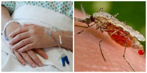 O femeie a murit în spital, în urma unei infecții cu virusul West Nile! Autoritățile, în alertă maximă: ”Să se facă dezinsecție!”