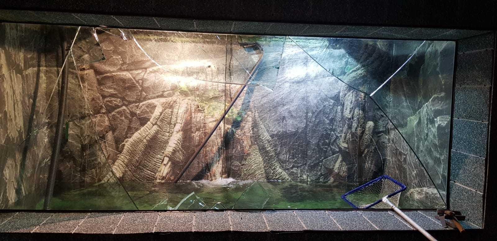 O fată de 16 ani, rănită după ce un geam de la Acvariul din Constanţa s-a spart