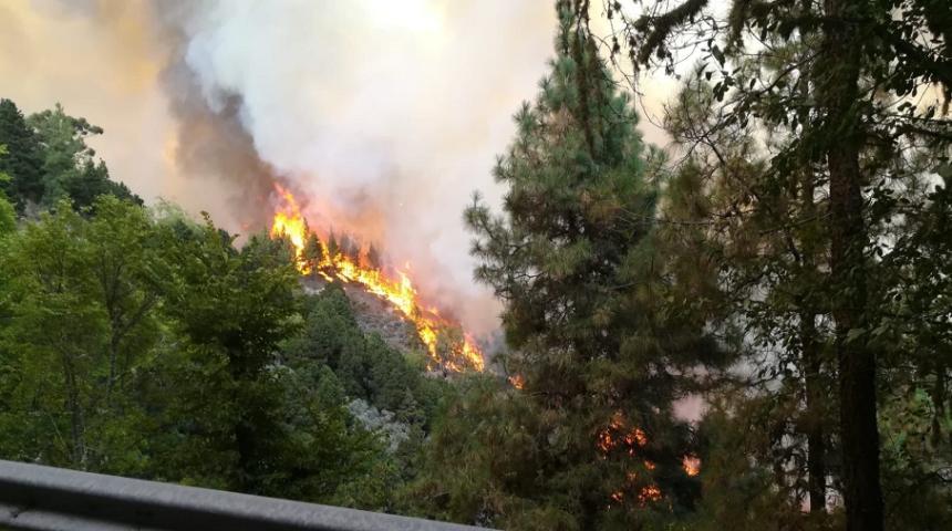 Incendiu şi evacuări pe Insula spaniolă Gran Canaria