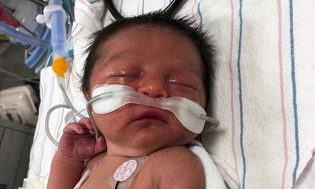 A vrut să fie mamă, dar s-a răzg&acirc;ndit, imediat după naștere. Ca să scape de povară, și-a abandonat fetița &icirc;n pădurea de la ieșirea din oraș