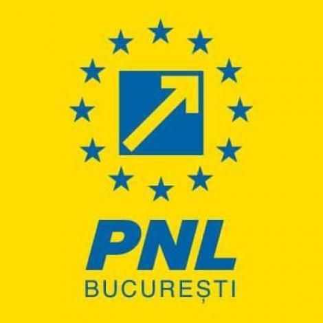 PNL Bucureşti: 400 de minori dispar anual din România şi nimeni nu ştie nimic de ei