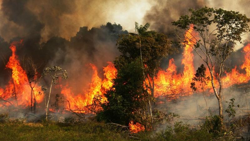 Cea mai mare pădure a planetei arde de peste 16 zile. Fumul provocat de incendii a lăsat Sao Paulo în beznă VIDEO