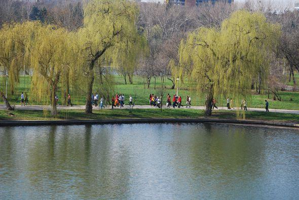 Doi copii au fost amenințați cu două cuțite de un bărbat, &icirc;n parcul Tineretului din București! A alergat după ei, cu armele la vedere