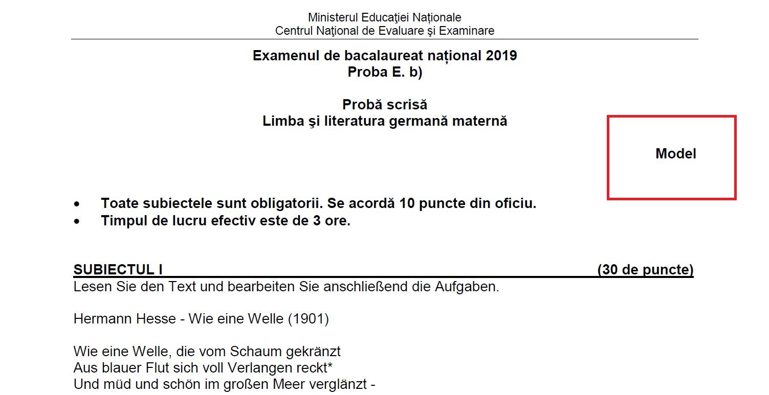 Subiecte BAC Toamnă 2019: ce pică la azi la Limba Maternă