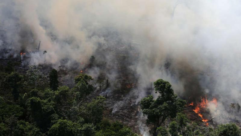 Imagini uluitoare! Incendiile din Amazonia fac prăpăd. E din nou beznă în plină zi, în Sao Paolo, din cauza fumului
