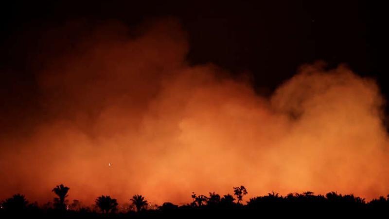 Imagini uluitoare! Incendiile din Amazonia fac prăpăd. E din nou beznă în plină zi, în Sao Paolo, din cauza fumului
