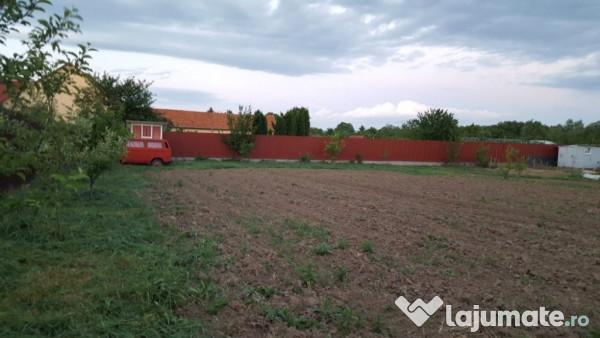 Probleme pe care s-ar putea sa le &icirc;nt&acirc;mpini dacă vrei să cumperi teren &icirc;n Brașov