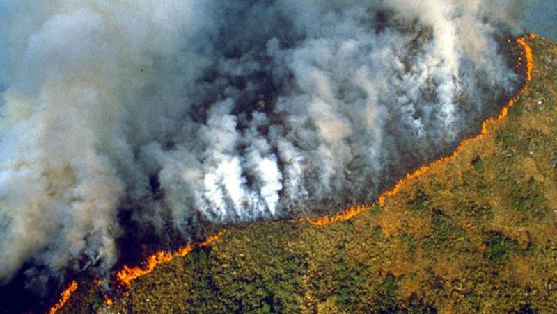 Catastrofă ecologică! Pădurea amazoniană încă arde! 40.000 de soldaţi din Brazilia se vor alătura luptei cu flăcările