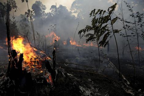 Imagini sfâșietoare! Incendiile din Amazon, mai periculoase decât arme de distrugere în masă (VIDEO)