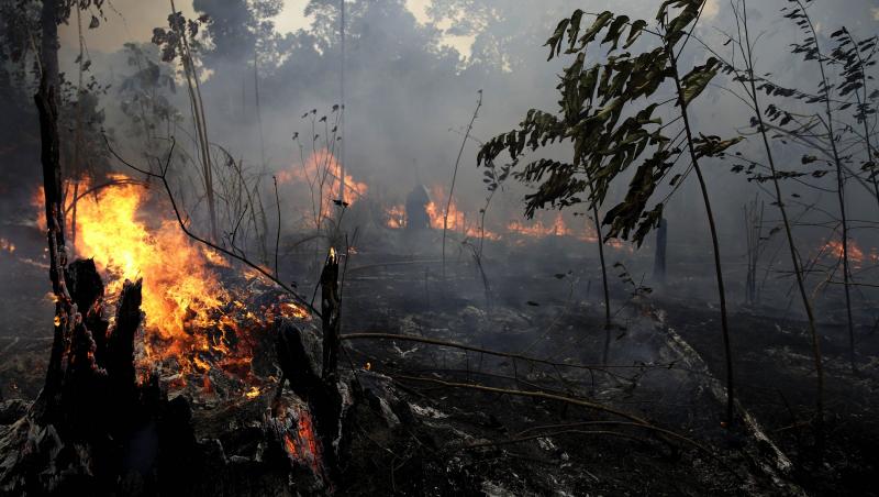 Imagini sfâșietoare! Incendiile din Amazon, mai periculoase decât arme de distrugere în masă (VIDEO)