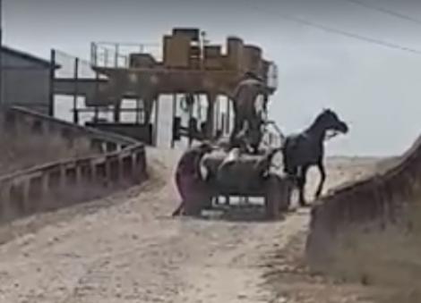 Monstru, nu om! Doi cai, bătuți cu brutalitate, cu o lopată, de un bărbat din Dâmbovița! Atenție, imagini ce vă pot afecta emoțional! Video
