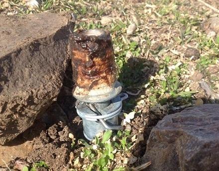 Administraţia lui Trump a autorizat "bombele cu cianură" pentru a ucide animale sălbatice