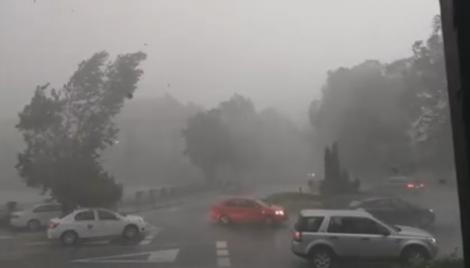 Caniculă în jumătate din țară, potop în celelalte zone. Momentul în care un copac se prăbușește peste mașini, filmat. Video