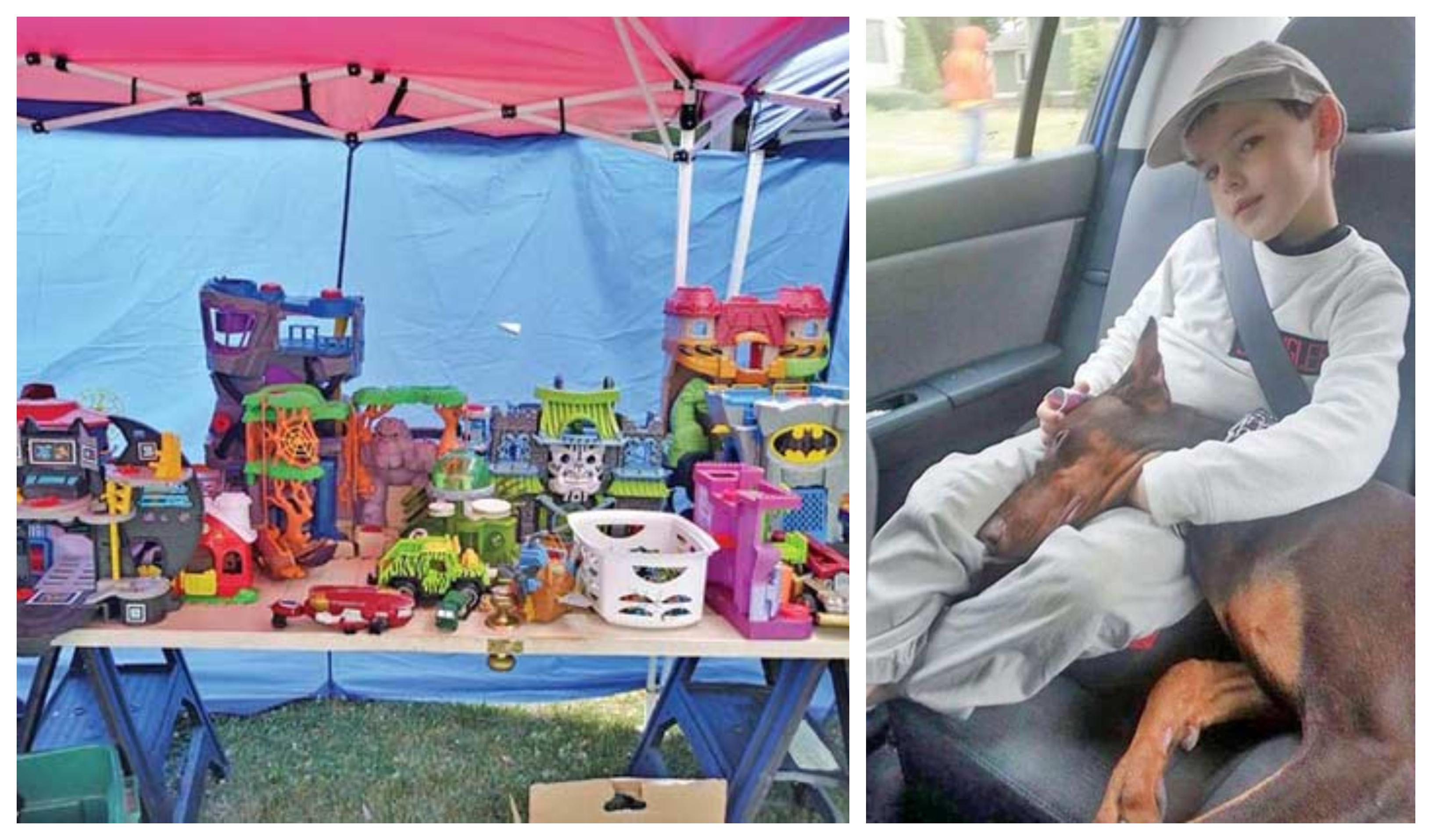 Un gest c&acirc;t o mie de cuvinte! Și-a v&acirc;ndut jucăriile ca să-și salveze c&acirc;inele deși nu avea siguranța că va trăi!