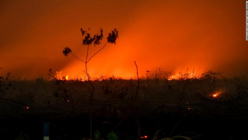 Caz similar Amazon! Pădurile din Indonezia ard, iar Singapore se sufocă cu fum